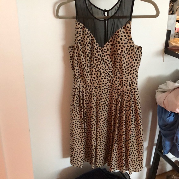 Tan and Black Polka Dot dress - Picture 1 of 2